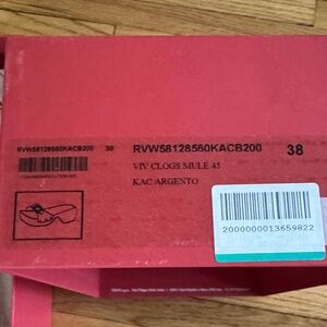 Roger Vivier Viv Clogs Mule 45 in silver